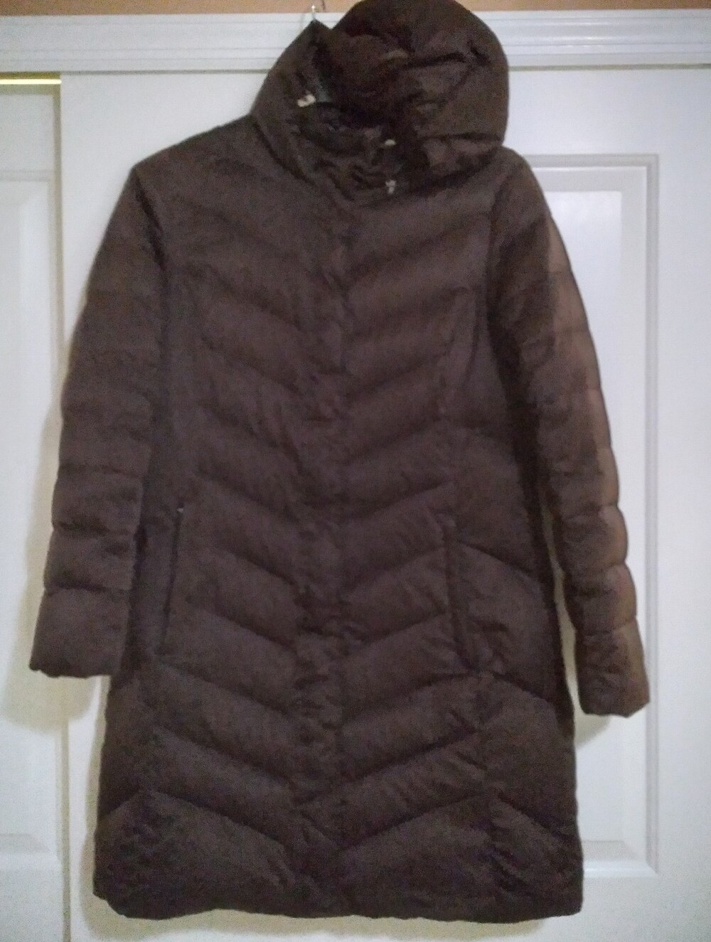 Eddie Bauer Women's Dark Brown Long Hooded Puffer Coat